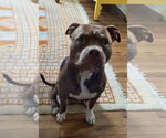 Small #3 Breeder Profile image