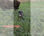 Image preview for Ad Listing. Nickname: Male