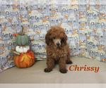 Image preview for Ad Listing. Nickname: Chrissy