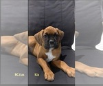 Image preview for Ad Listing. Nickname: Akc Kia