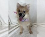 Image preview for Ad Listing. Nickname: Penelope
