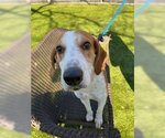Small #1 Breeder Profile image
