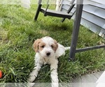 Image preview for Ad Listing. Nickname: Sky