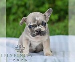Image preview for Ad Listing. Nickname: Kara