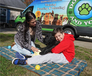 Black Russian Terrier Litter for sale in S CHARLESTON, WV, USA