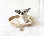 Image preview for Ad Listing. Nickname: Teeny Noel