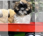 Image preview for Ad Listing. Nickname: Saturn