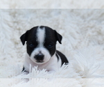 Image preview for Ad Listing. Nickname: Neyah