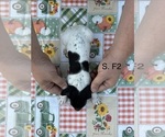  - Photo #3