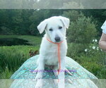 Image preview for Ad Listing. Nickname: ChasingDaydream
