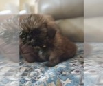 Image preview for Ad Listing. Nickname: VIOLET ROSE