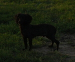 Image preview for Ad Listing. Nickname: tilly