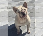 Image preview for Ad Listing. Nickname: Theodore