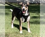 Small #1 Breeder Profile image