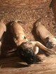Small Photo #12 Presa Canario Puppy For Sale in FLINT, MI, USA