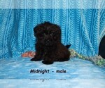 Image preview for Ad Listing. Nickname: Midnight