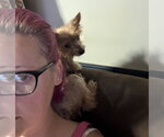 Small #1 Mutt
