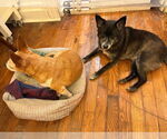 Small #3 Breeder Profile image