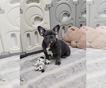 Image preview for Ad Listing. Nickname: Simon