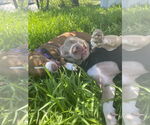 Small #3 Breeder Profile image
