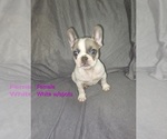 Image preview for Ad Listing. Nickname: Becky