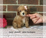 Image preview for Ad Listing. Nickname: Lacy