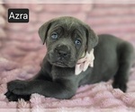 Image preview for Ad Listing. Nickname: Azra