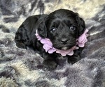Image preview for Ad Listing. Nickname: Lovey