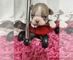 Image preview for Ad Listing. Nickname: Rizzo