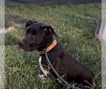 Small #2 Breeder Profile image