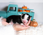 Image preview for Ad Listing. Nickname: Lilienne
