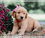 Image preview for Ad Listing. Nickname: Andrea