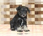 Image preview for Ad Listing. Nickname: Tony