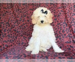Image preview for Ad Listing. Nickname: Olive