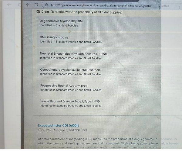 Medium Photo #13 Poodle (Miniature) Puppy For Sale in WHITEWATER, WI, USA