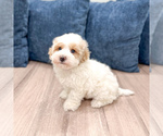 Image preview for Ad Listing. Nickname: Harvey
