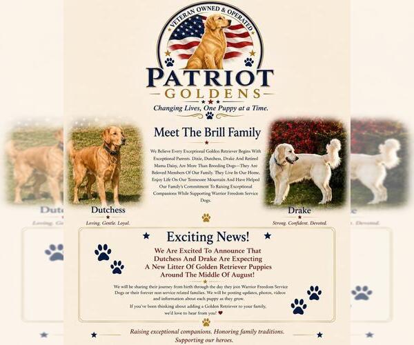 Medium Photo #1 Golden Retriever Puppy For Sale in SODDY DAISY, TN, USA