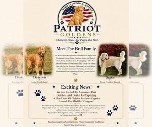 Father of the Golden Retriever puppies born on 08/14/2026