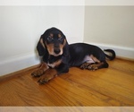 Image preview for Ad Listing. Nickname: Charlie