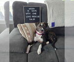 Small #23 Mutt
