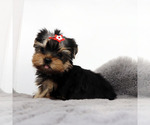 Image preview for Ad Listing. Nickname: Poppy