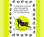 Small #3 American Pit Bull Terrier Mix