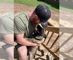 Small #4 German Shepherd Dog