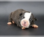 Image preview for Ad Listing. Nickname: Nyla