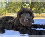 Image preview for Ad Listing. Nickname: Winter  F1B