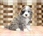 Image preview for Ad Listing. Nickname: Cassie