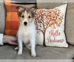 Image preview for Ad Listing. Nickname: Aspen