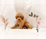 Image preview for Ad Listing. Nickname: JOHN
