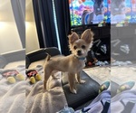 Small Paperanian