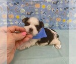 Image preview for Ad Listing. Nickname: Tuff